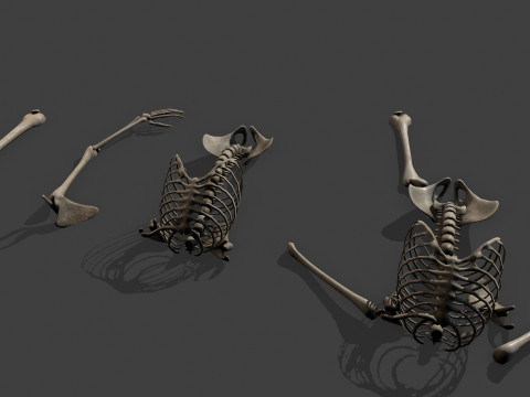 Dungeon Skeletons and Bones 3D मॉडल
