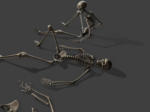 Dungeon Skeletons and Bones 3D मॉडल