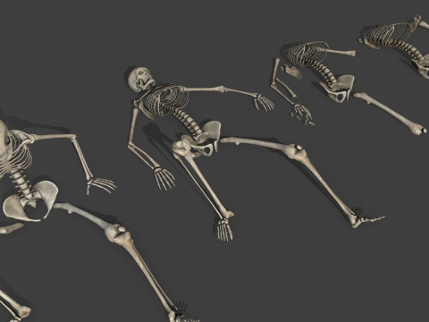 Dungeon Skeletons and Bones 3D मॉडल
