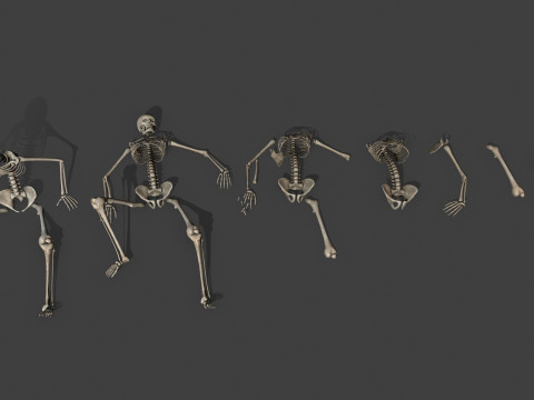 Dungeon Skeletons and Bones 3D मॉडल