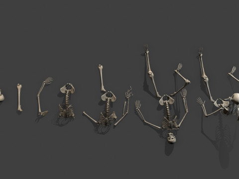 Dungeon Skeletons and Bones 3D मॉडल