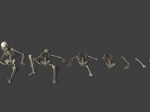 Dungeon Skeletons and Bones 3D मॉडल
