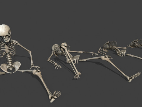 Dungeon Skeletons and Bones 3D मॉडल