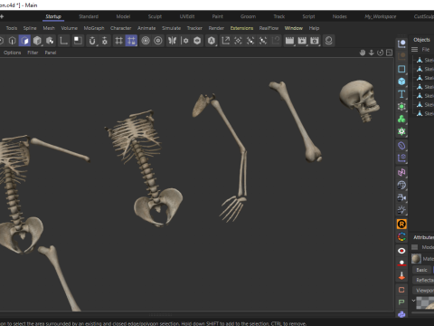 Dungeon Skeletons and Bones 3D मॉडल