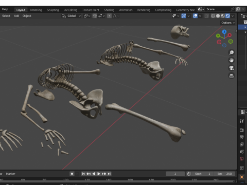Dungeon Skeletons and Bones 3D मॉडल