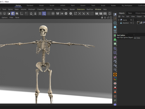 Realistic Human Skeleton Modelo 3D