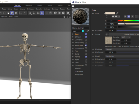 Realistic Human Skeleton Modelo 3D