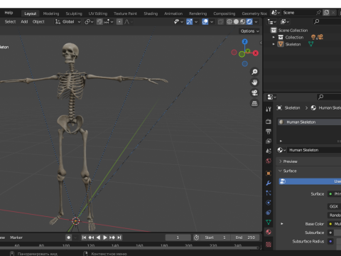 Realistic Human Skeleton Modelo 3D