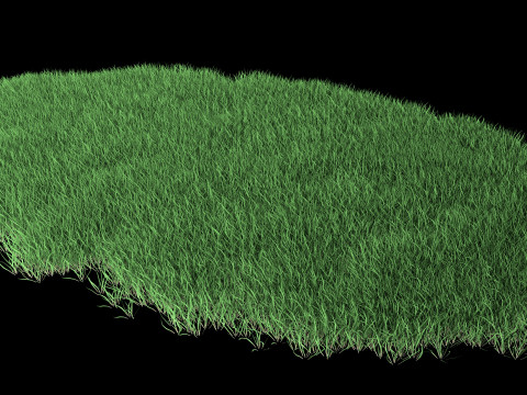 Lawn Grass Model for Exteriors 3D 모델