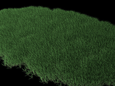 Lawn Grass Model for Exteriors Modello 3D