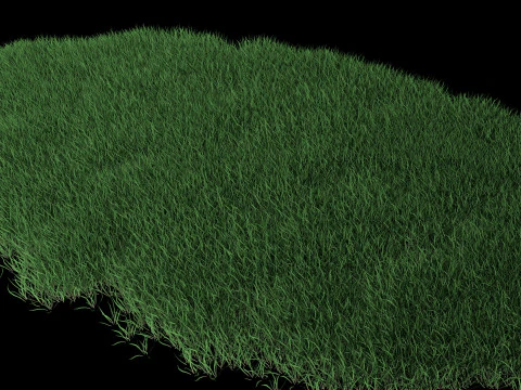 Lawn Grass Model for Exteriors 3D Model