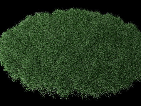 Lawn Grass Model for Exteriors Modello 3D
