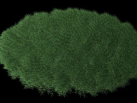 Lawn Grass Model for Exteriors 3D Model