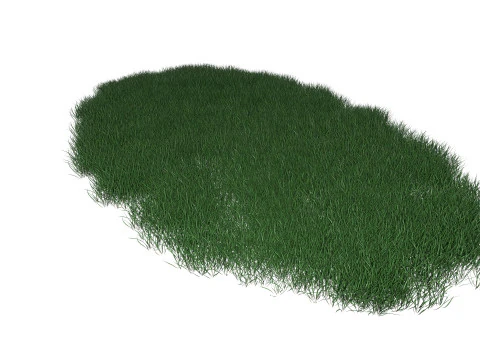 Lawn Grass Model for Exteriors 3D Model
