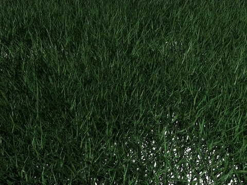 Lawn Grass Model for Exteriors 3D Model