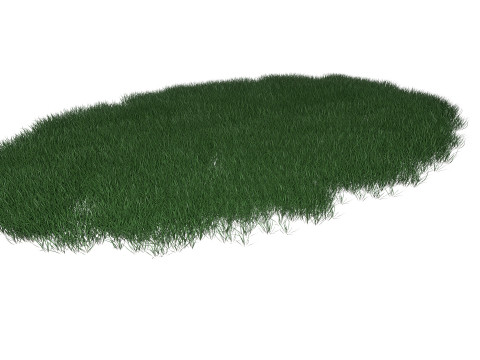 Lawn Grass Model for Exteriors Modello 3D
