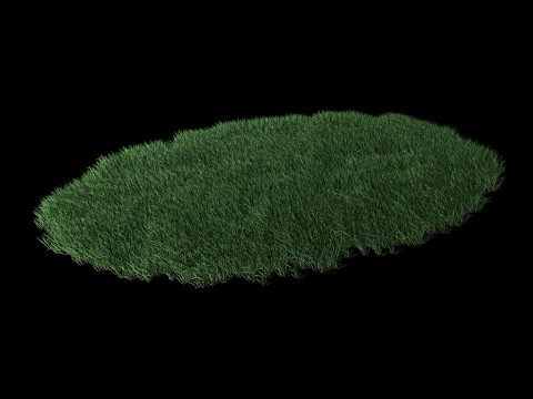 Lawn Grass Model for Exteriors Modello 3D
