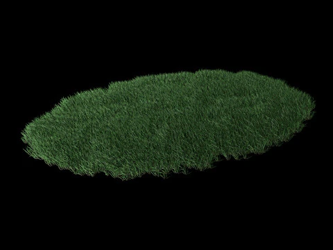 Lawn Grass Model for Exteriors 3D Model