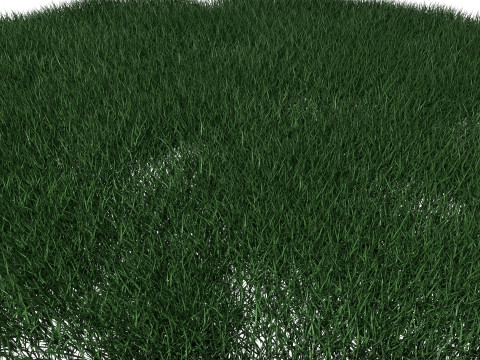 Lawn Grass Model for Exteriors Modello 3D