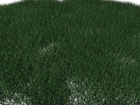 Lawn Grass Model for Exteriors 3D Model