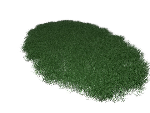 Lawn Grass Model for Exteriors Modello 3D