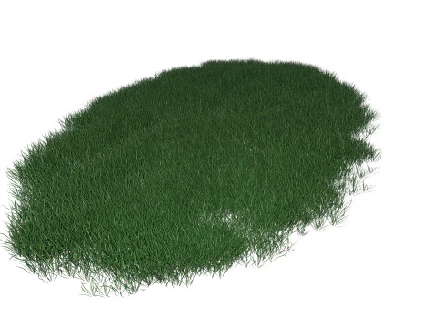 Lawn Grass Model for Exteriors 3D Model