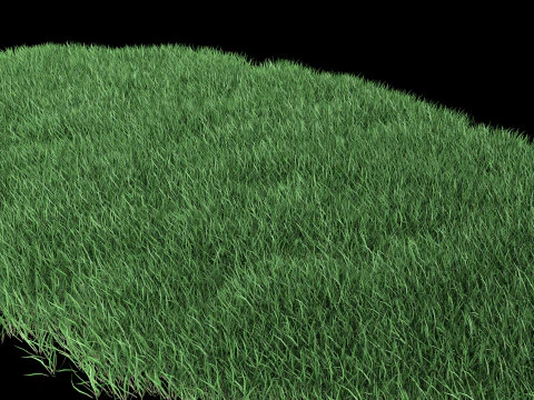 Lawn Grass Model for Exteriors 3D Model