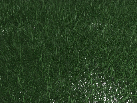 Lawn Grass Model for Exteriors 3D Model