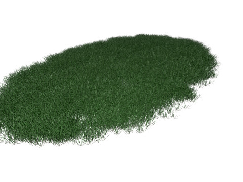 Lawn Grass Model for Exteriors Modello 3D