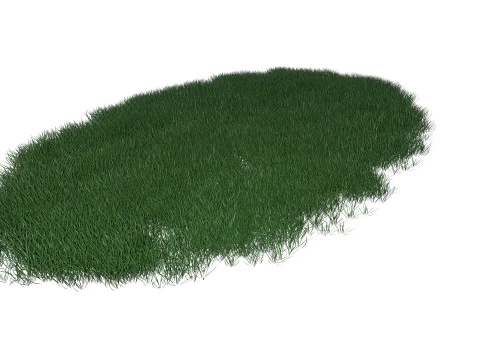Lawn Grass Model for Exteriors 3D Model