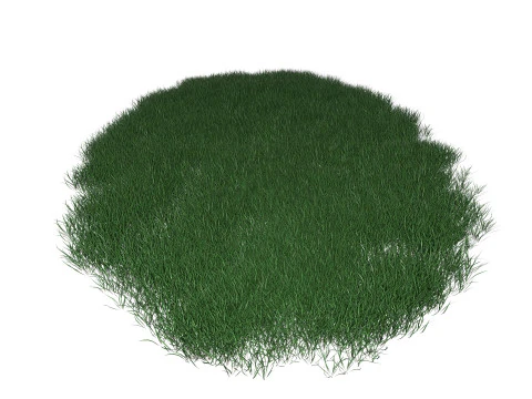 Lawn Grass Model for Exteriors 3D Model