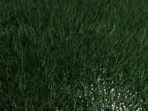 Lawn Grass Model for Exteriors Modello 3D