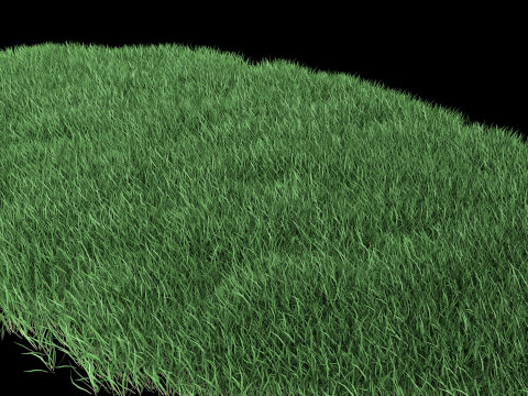 Lawn Grass Model for Exteriors Modello 3D