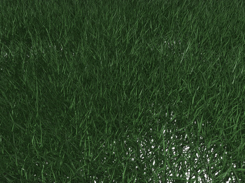 Lawn Grass Model for Exteriors Modello 3D