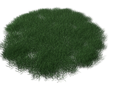 Realistic Lawn Grass Patch 3D 모델
