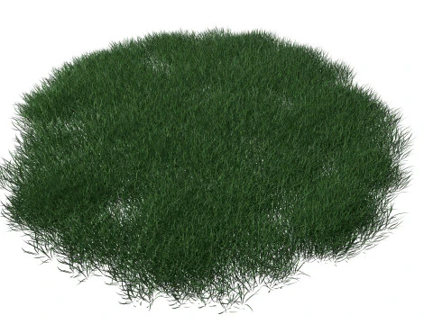 Remendo de grama realista Modelo 3D