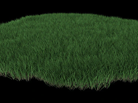 Realistic Lawn Grass Patch 3D Model