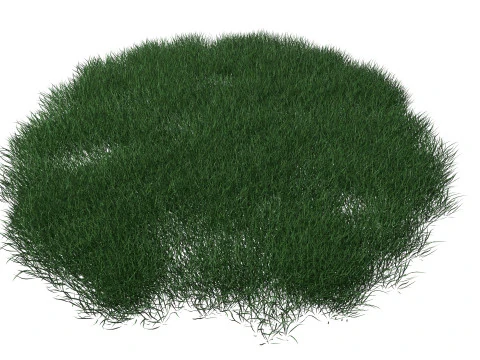 Realistic Lawn Grass Patch 3D Model