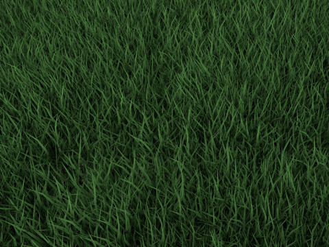 Realistic Lawn Grass Patch 3D Модель