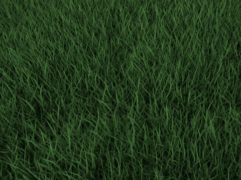 Realistic Lawn Grass Patch 3D Model