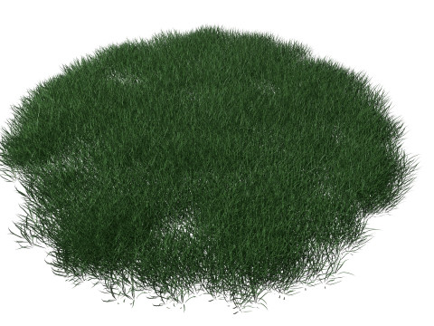 Realistic Lawn Grass Patch 3D Модель