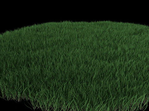 Realistic Lawn Grass Patch 3D Model