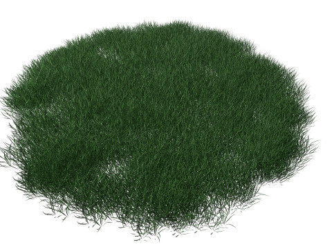 Realistic Lawn Grass Patch 3D Модель
