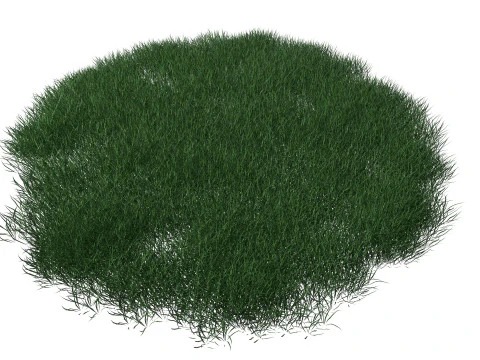 Realistic Lawn Grass Patch 3D Model