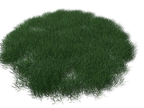 Realistic Lawn Grass Patch 3D Модель