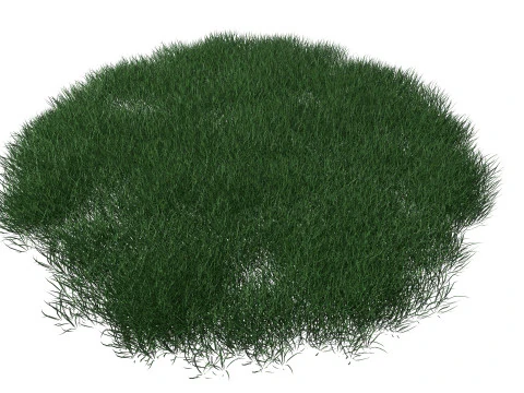 Realistic Lawn Grass Patch 3D Model