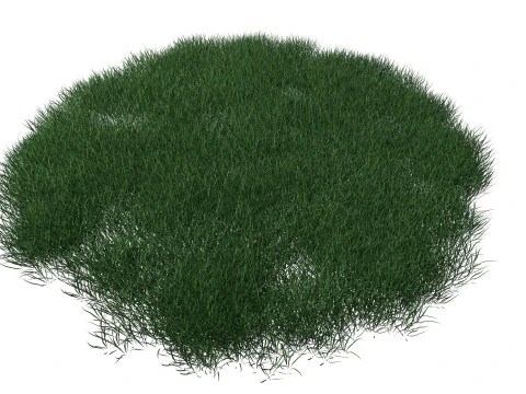 Realistic Lawn Grass Patch 3D Model