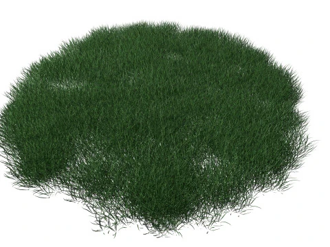 Realistic Lawn Grass Patch 3D Model