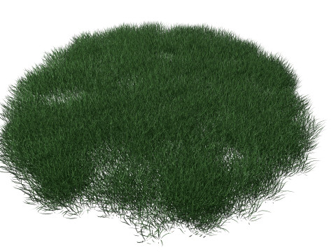 Realistic Lawn Grass Patch 3D Модель