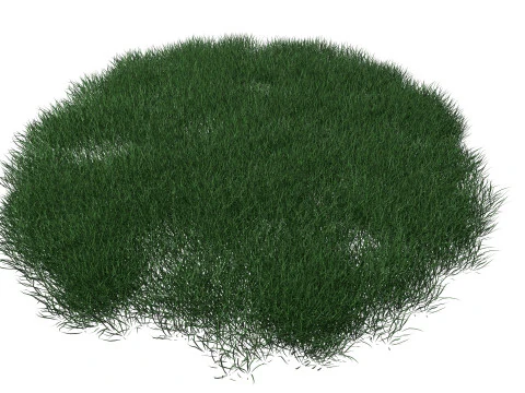Realistic Lawn Grass Patch 3D Model